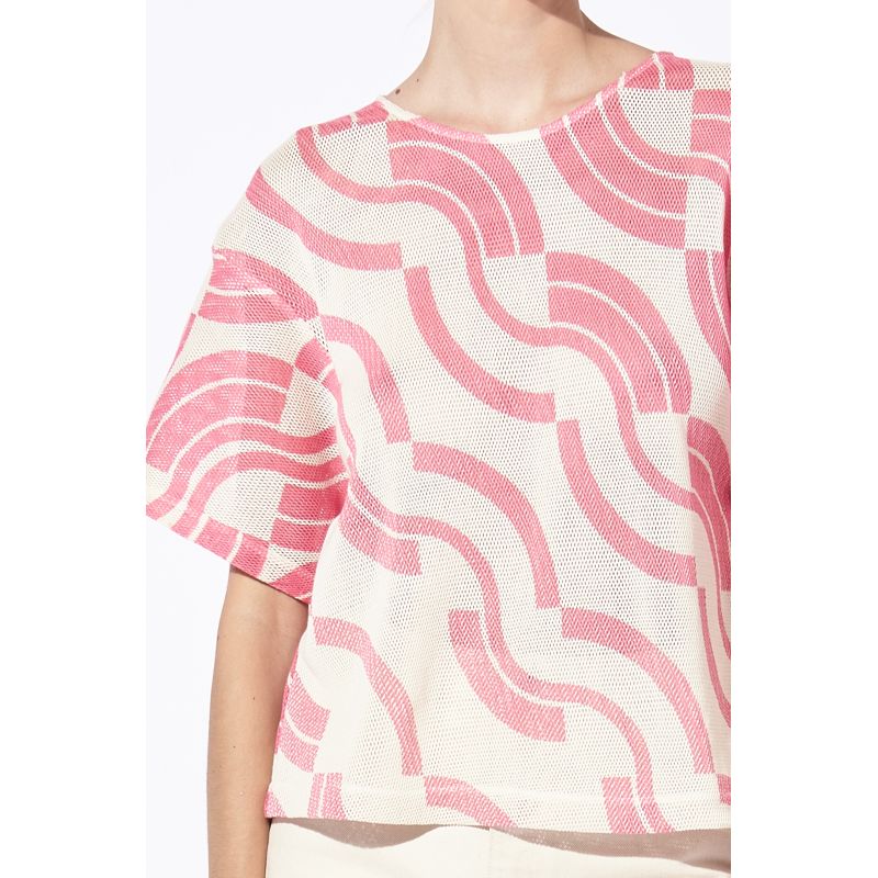 225 - TOP NICO MODULE ROSELOT DE 2