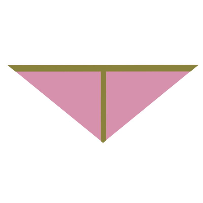 450 - TriangleLiv Rose Lot De 2