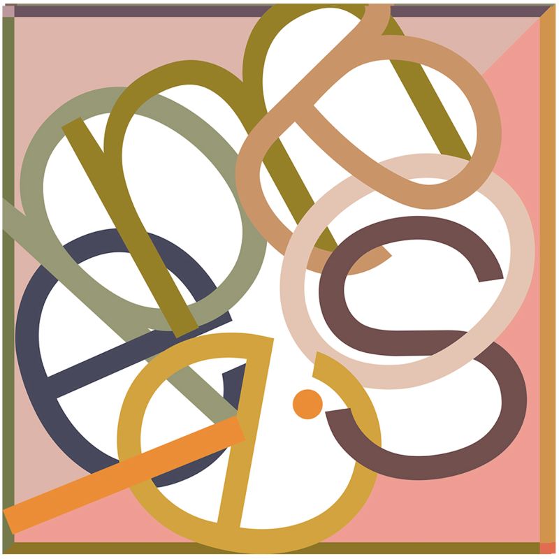 C - Carré Icone Blush Lot De 2