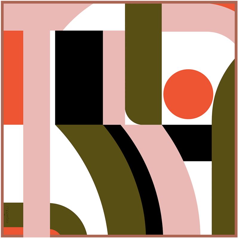 D - Pink Vision Scarf Pack Of 2