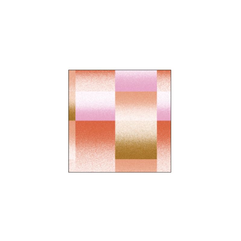 500 - CoussinNuanceOrange 50/50 Cm Lot De 2